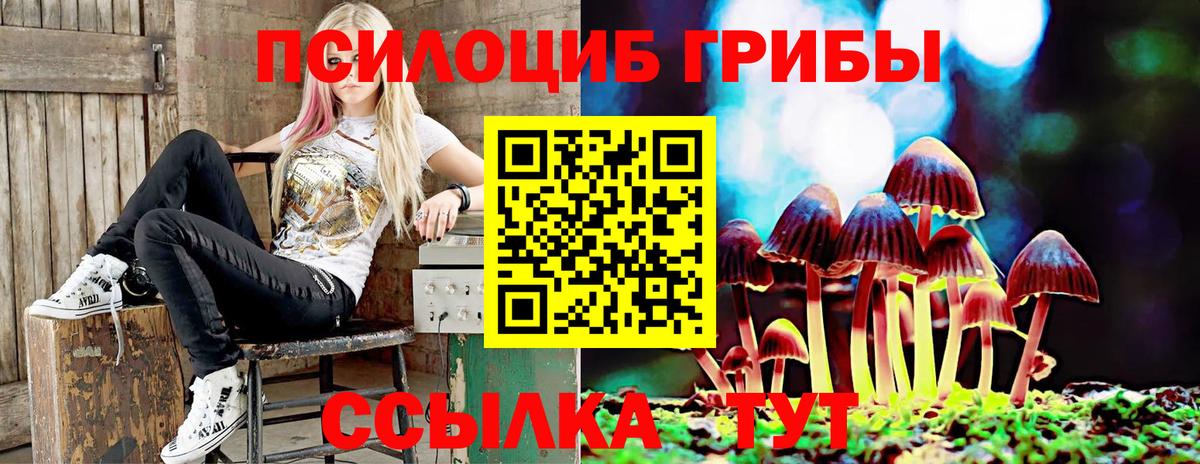 Лыткарино  Галлюциногенные грибы прущие грибы  Галлюциногенные грибы прущие грибы  Вход с VPN 